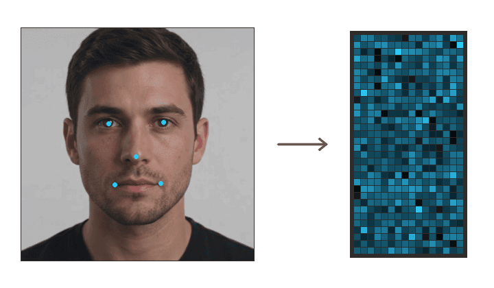 Biometric face extraction pipeline visualization